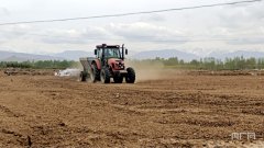 金融筑梦美好生活｜种植产业贷激活高原“菜篮