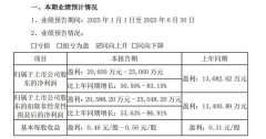 瑞达期货上半年业绩预告：归股净利同比增长5