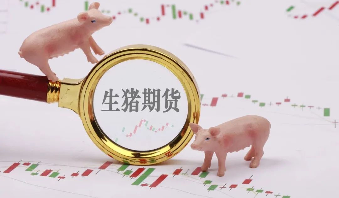 棉花期货：供需双弱短线或延续震荡