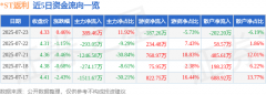 股票行情快报：ST返利（600228）7月23日主力资金净