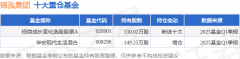 6月5日锦泓集团涨966%招商